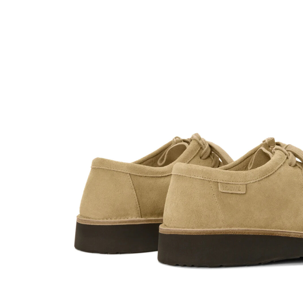 Loewe Faro lace-up in suede calfskin