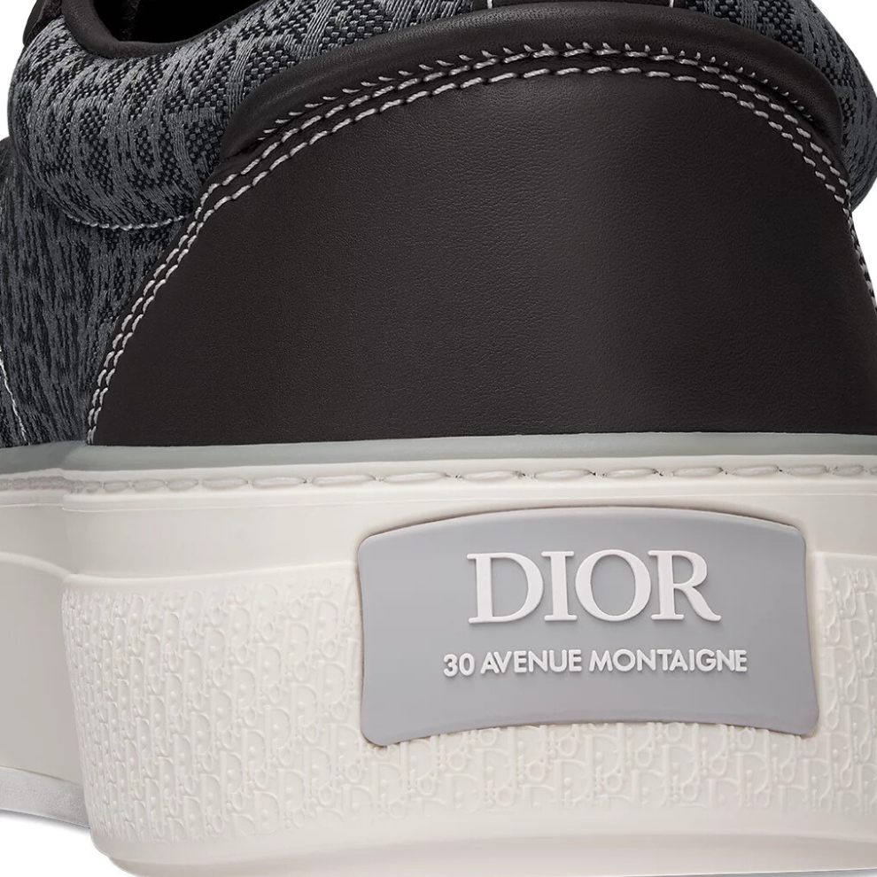 Dior B33 Spin Sneaker