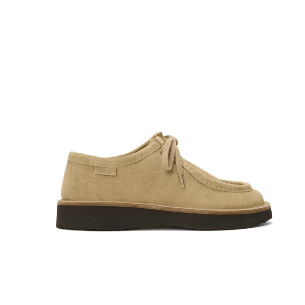 Loewe Faro lace-up in suede calfskin