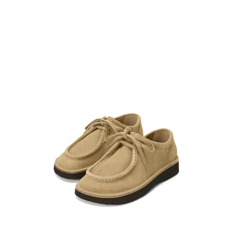Loewe Faro lace-up in suede calfskin