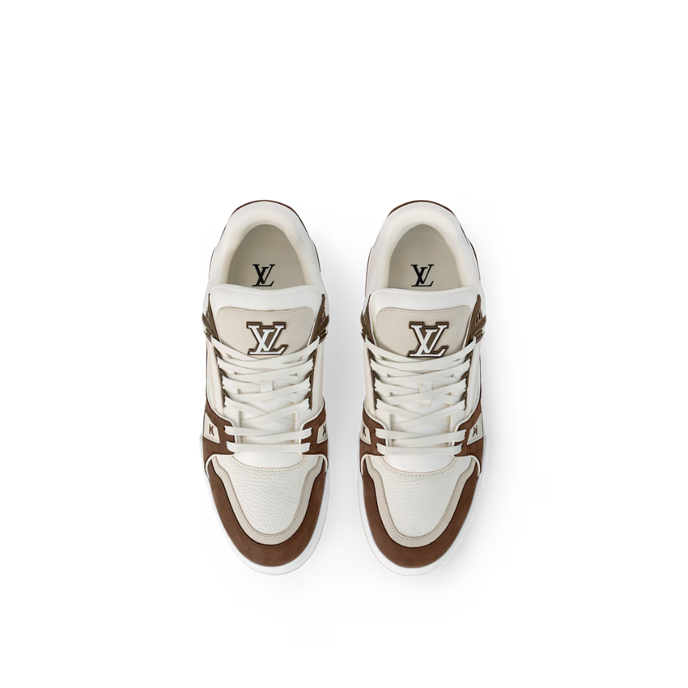 LOUIS VUITTON LV Skate Sneaker