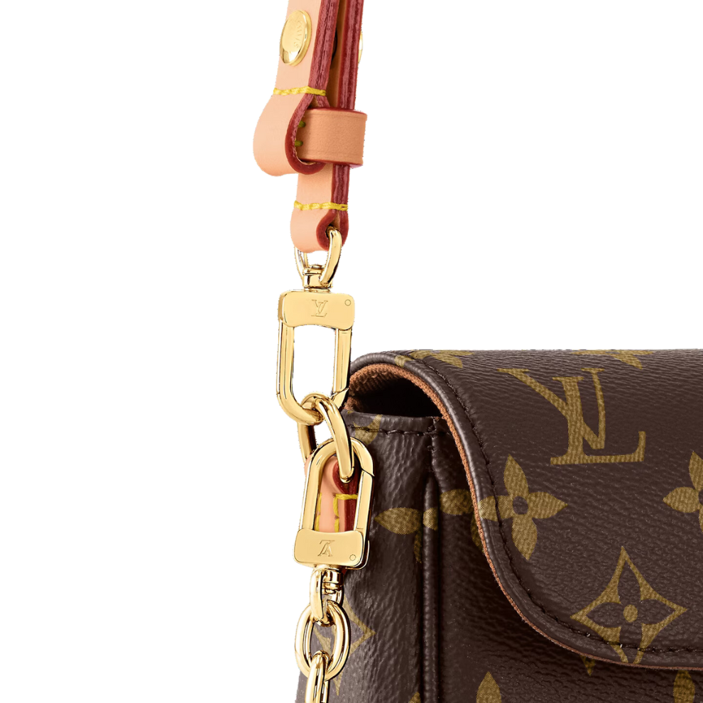 Louis Vuitton Ivy Wallet on Chain Bag