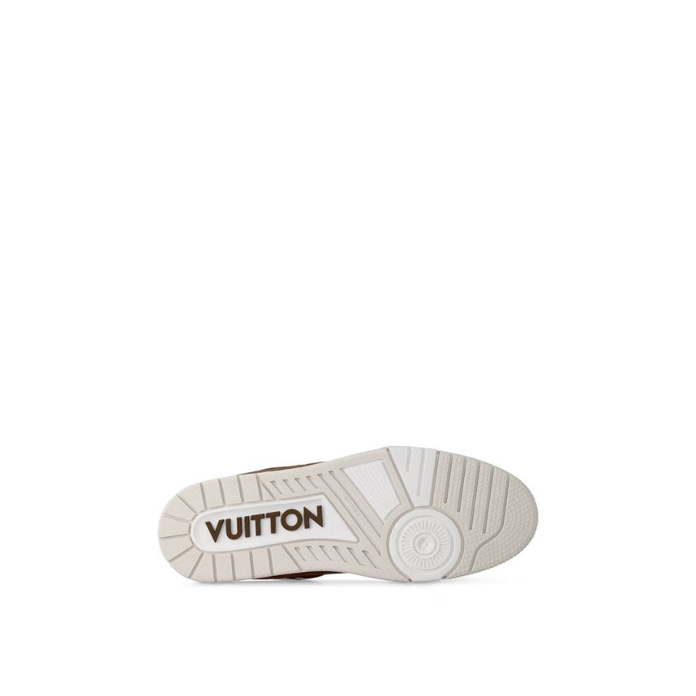 LOUIS VUITTON LV Skate Sneaker